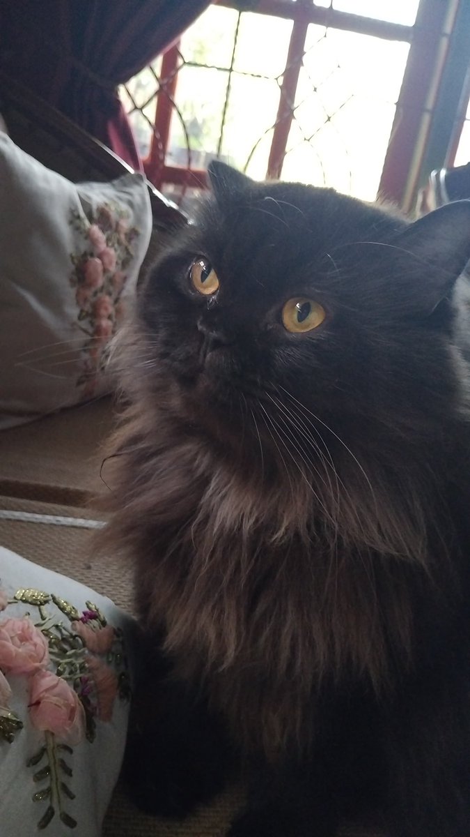 kenapa nih toel toel aku?