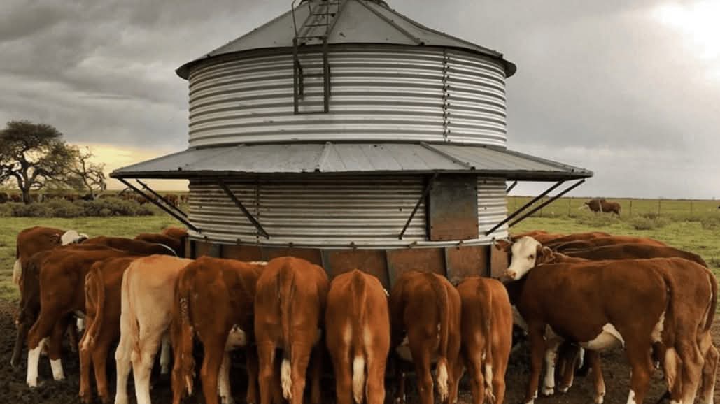 LaClotildeOk's tweet image. #SemanarioDigital #Bovinos Jornadas de Autoconsumo en #Pergamino cuáles son las Claves para hacerlo eficiente. #LaClotilde Redes: X,Fandpage LaClotilde Facebook, ReelIG, #GrupoLaClotildeWebFB, Instagram, Pinterest, Linkedin, YouTube, LaClotildeWeb