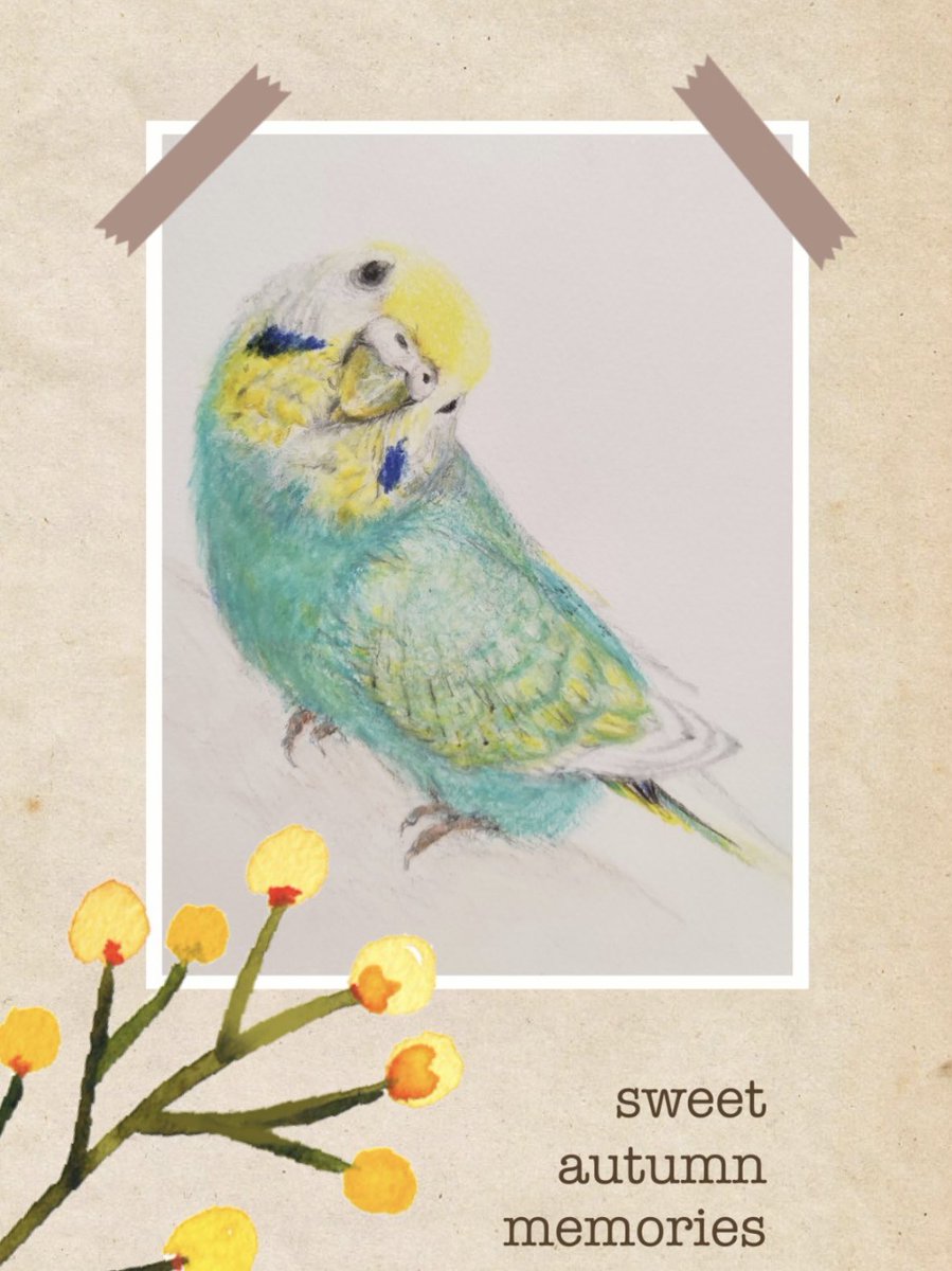 城景都　インコ　絵画　H96 城景都 インコ 絵画 H96 ecdb7db78affe39ae5b03eb21c01dd