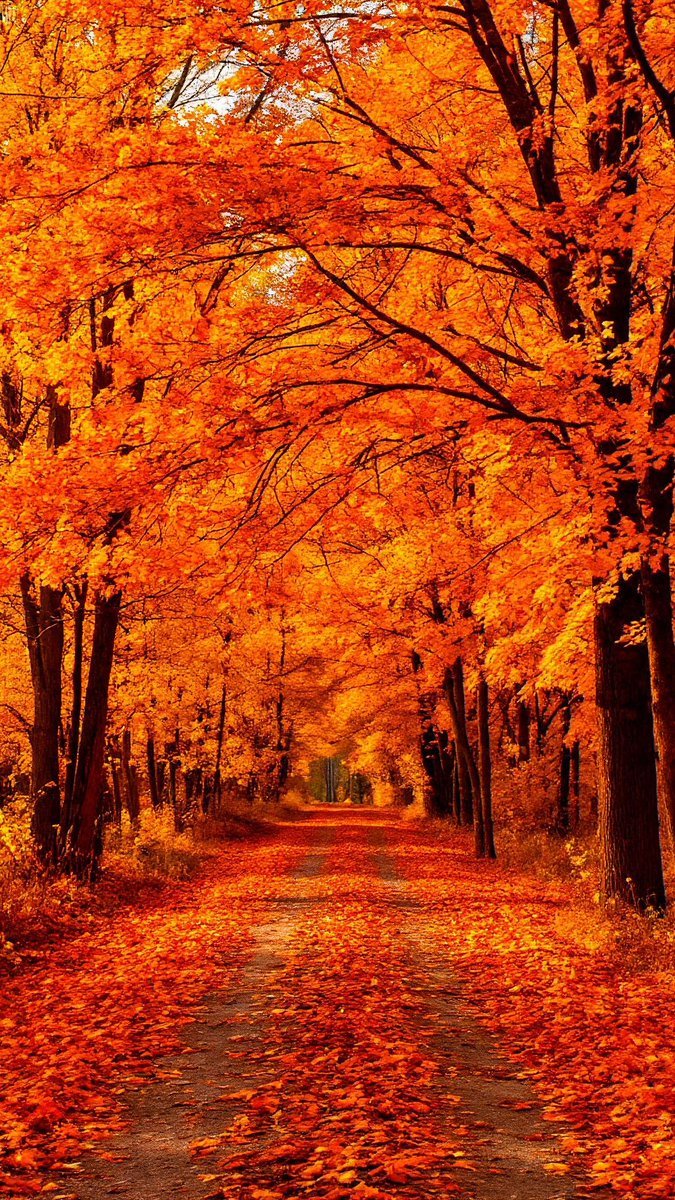 Earth Glory (@earthglory56) on Twitter photo 