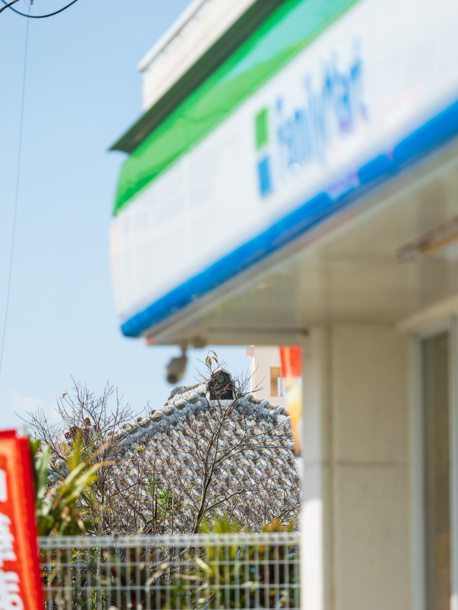 ひょっこりせめんがーら