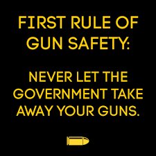 No_Drama_Lama_'s tweet image. They’re coming for your guns…

If the Government says you don’t need a gun…you need a gun!