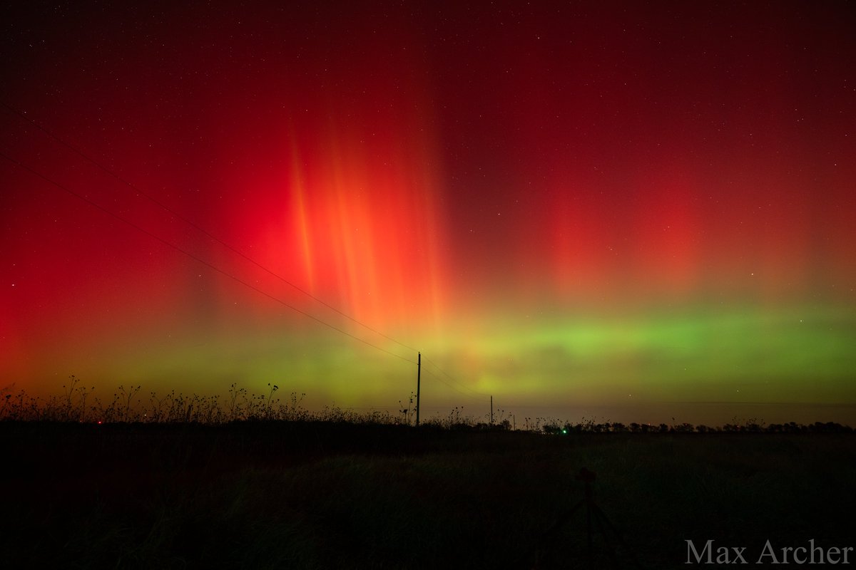 Max Archer tweet media