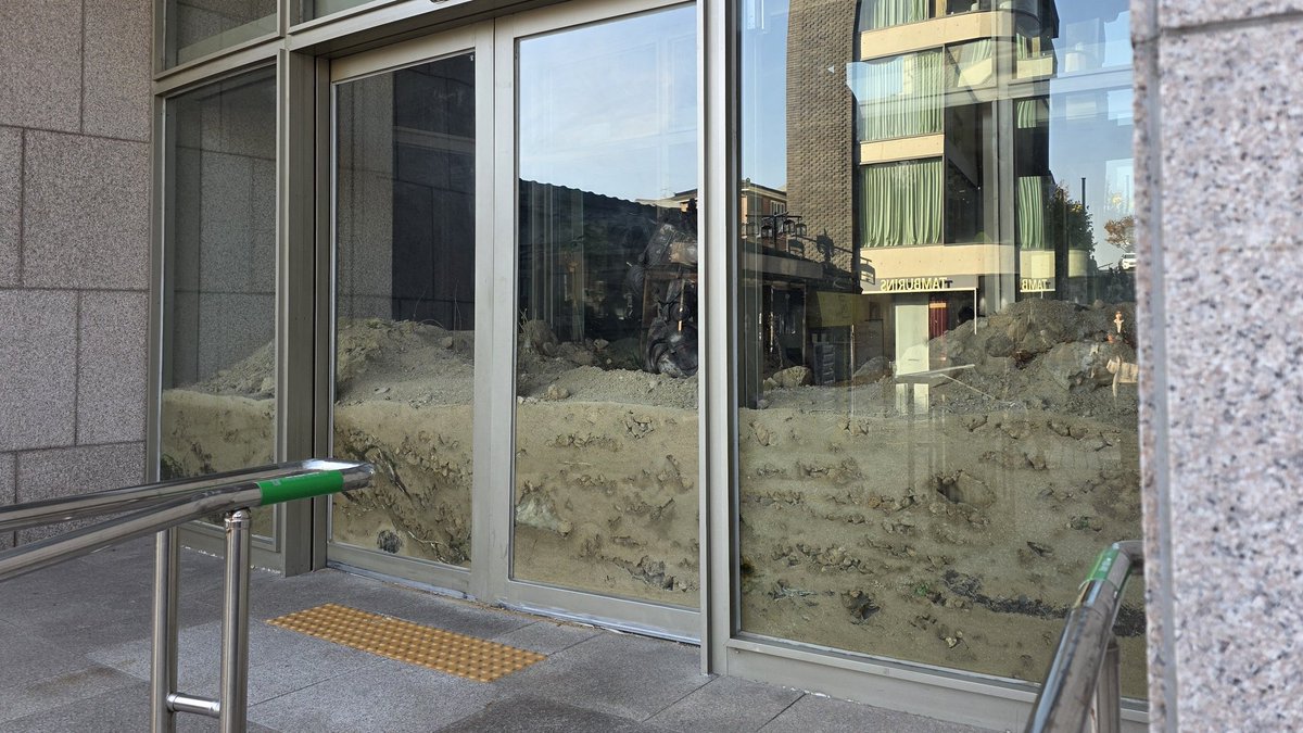 🌕곰나이트🌕 tweet media