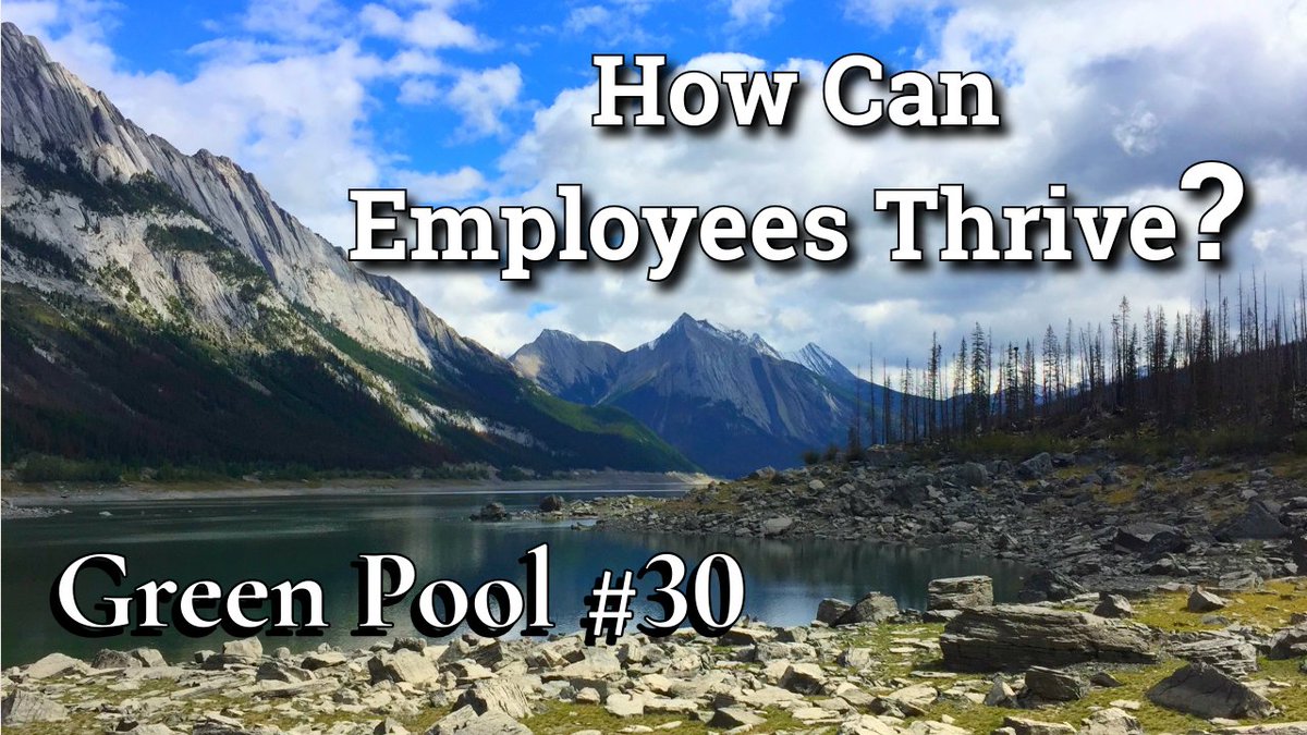Green22229Pool's tweet image. I’ve uploaded my latest video, addressing questions such as: Can an organization have a perfect team setup? Why is communication with bosses important? And how can you make the most of an unwanted job? Please check it out and enjoy 🤗🍁🍁🍂🌟➡️➡️: youtu.be/yuzNfYPVUIw