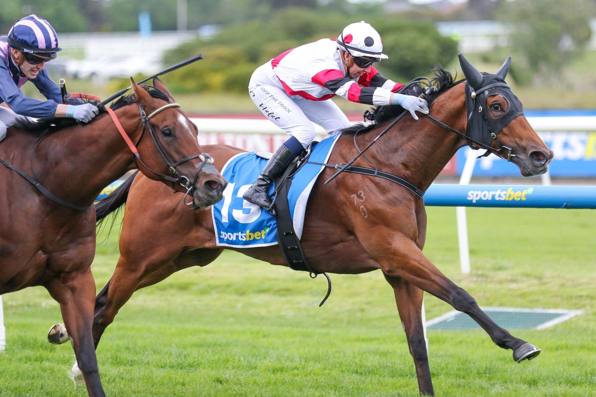 NEWS: Proved has now won six of her seven starts, including her first black-type victory in Saturday’s A$200,000 Gr.3 How Now Stakes (1200m) at Caulfield.
racingnews.co.nz/proved-secures…