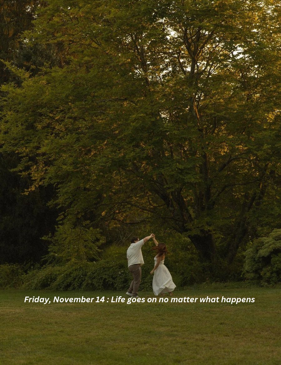 kcodoh84's tweet image. 