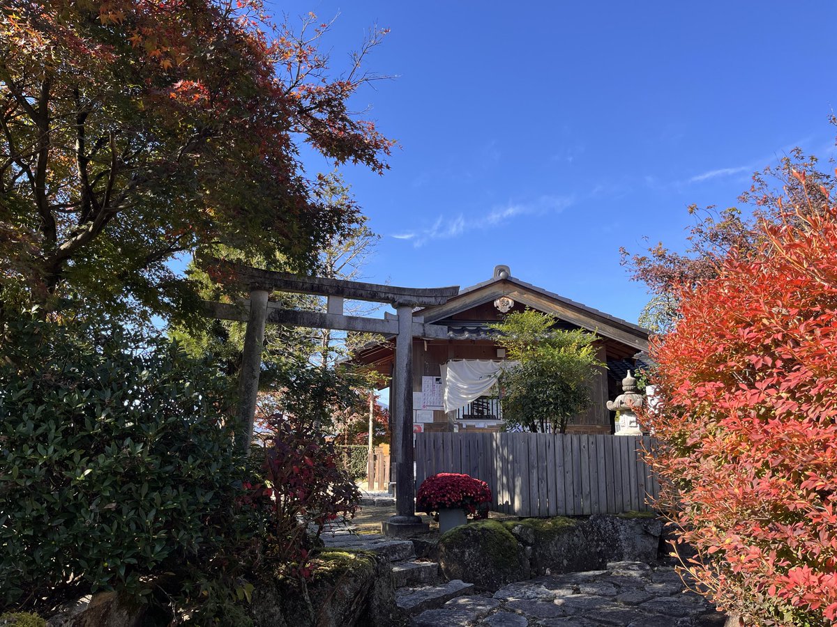 hanyolaslan's tweet photo. 本日の龍馬神社 https://t.co/AkOJihxjWR