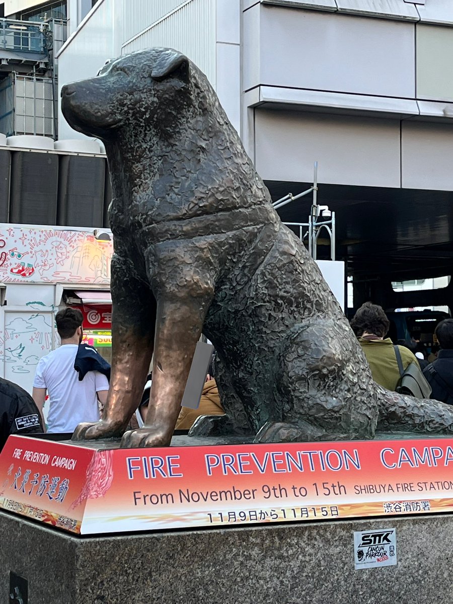 さっき剥製で見てきた #国立科学博物館