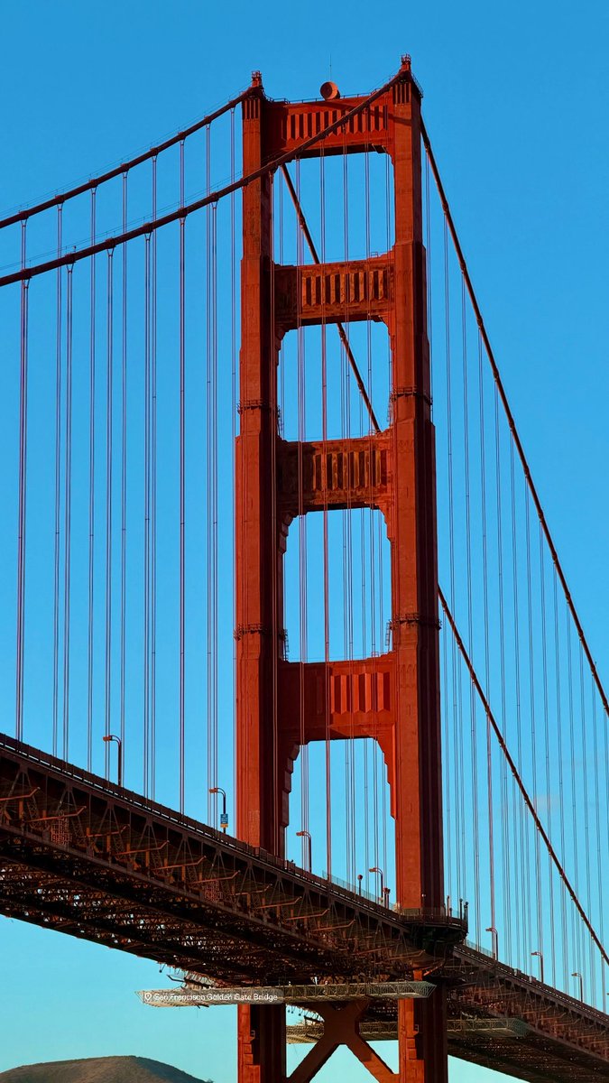 html5cat's tweet image. 🌁