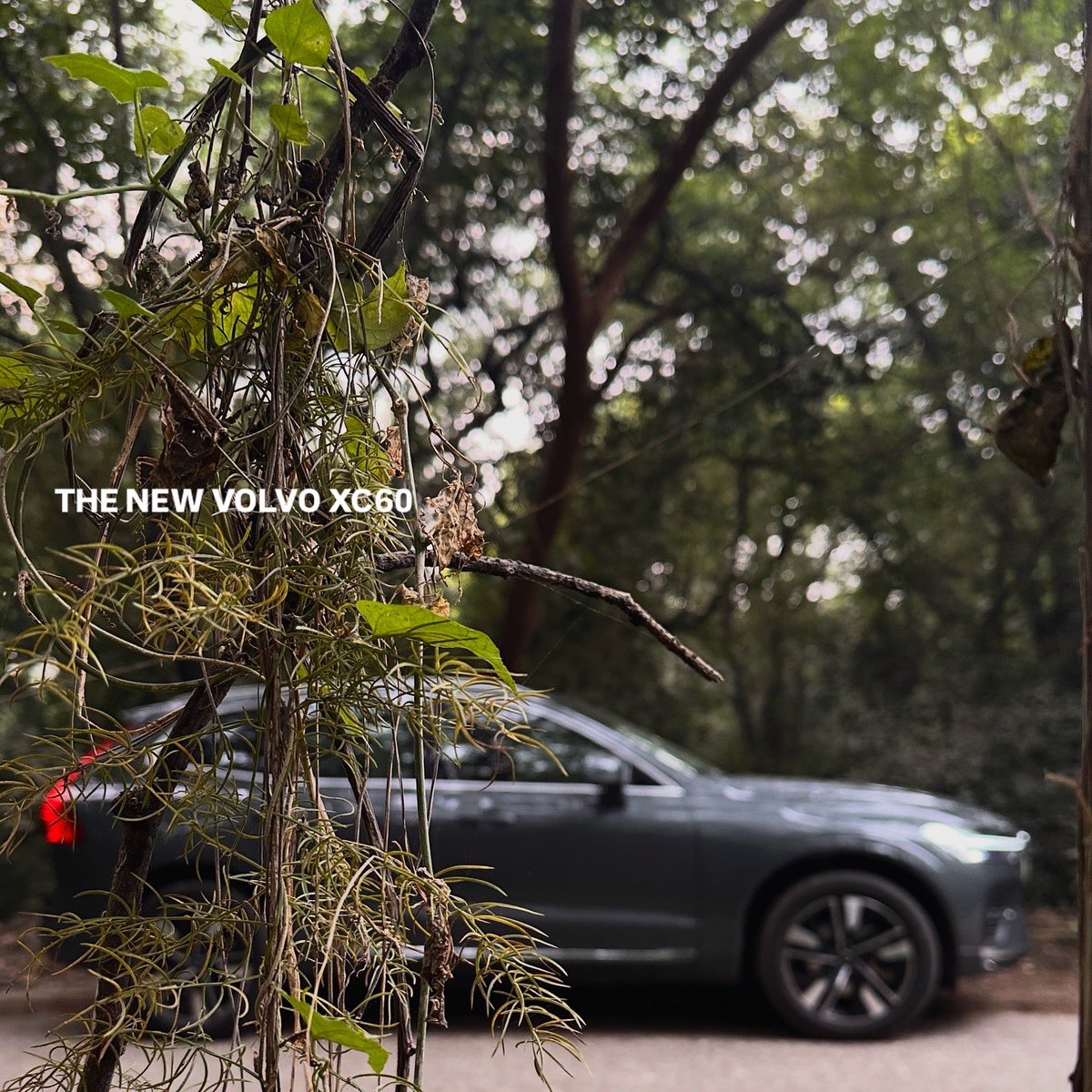 Volvo’s approach to refreshing the #XC60 feels almost meditative. No exaggeration, no theatrics. 

If you liked the earlier version, you will appreciate this one even more.

Read the full review here: licencetodrive.in/2025/11/new-vo…

<a href="/volvocarsin/">Volvo Car India</a> #volvoxc60