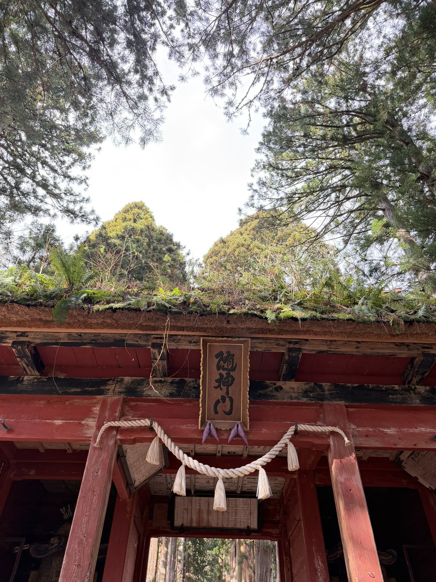 ママとパパは奥社へ
しんちゃんは戸隠神社に入れないので車の中でお留守番です