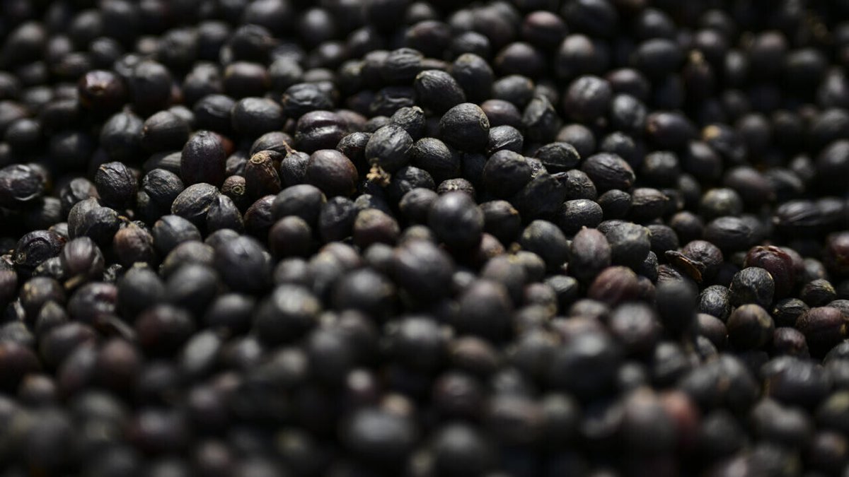 Sous pression pour alléger le coût de la vie, Trump renonce à une partie de ses droits de douane
➡️ go.france24.com/KIm