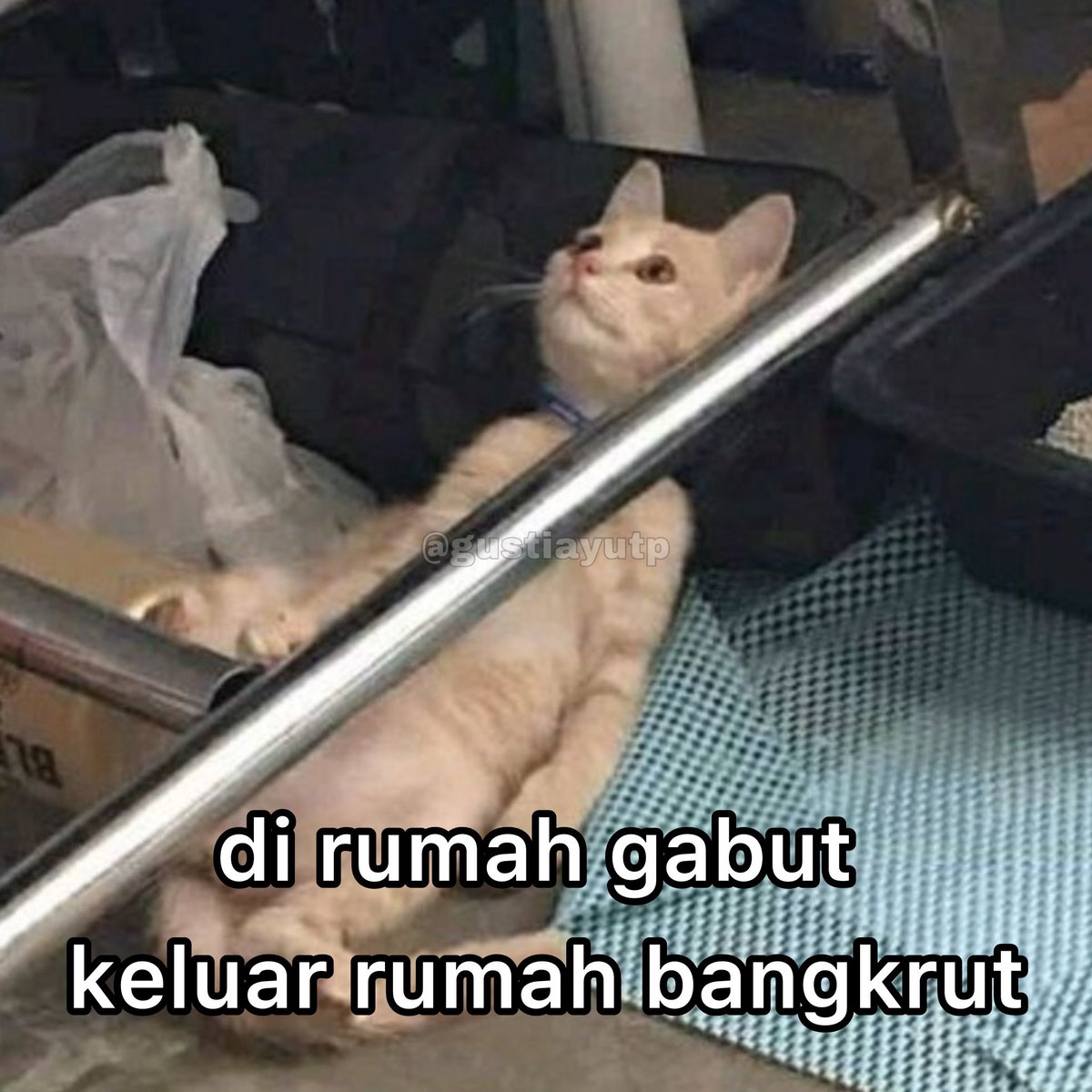 gustiayutp's tweet image. 