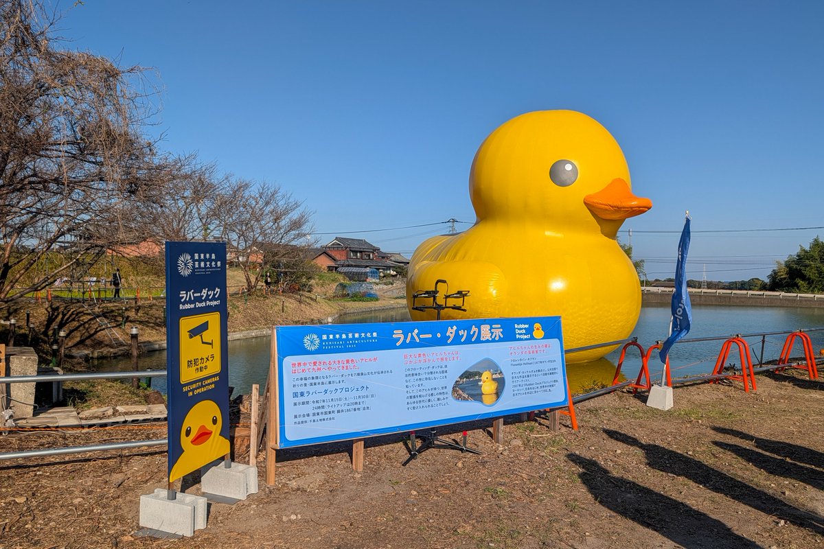 おまめ🦀🦀🦀 (@rubberduck222) / Posts / X