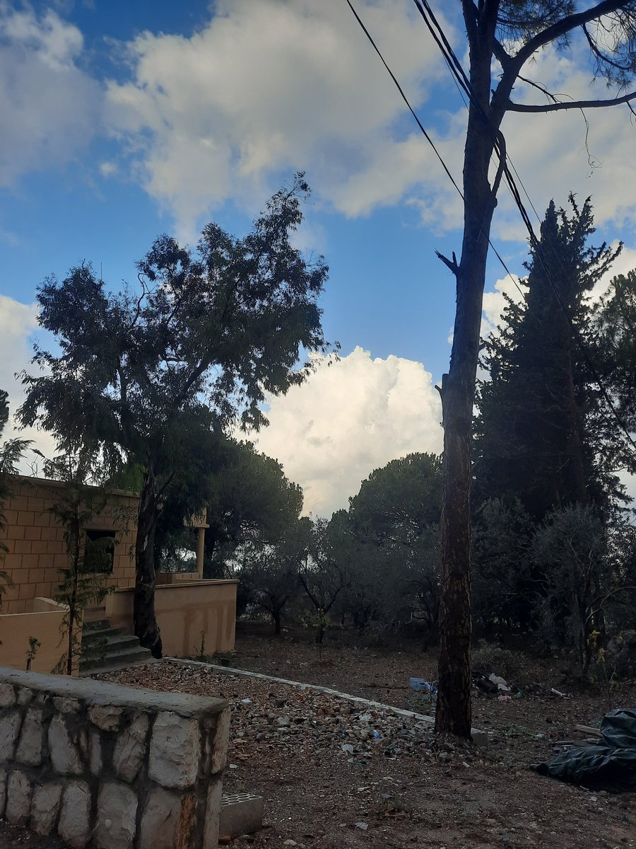 SarahHariri8's tweet image. صباح الخير⛅️❤️