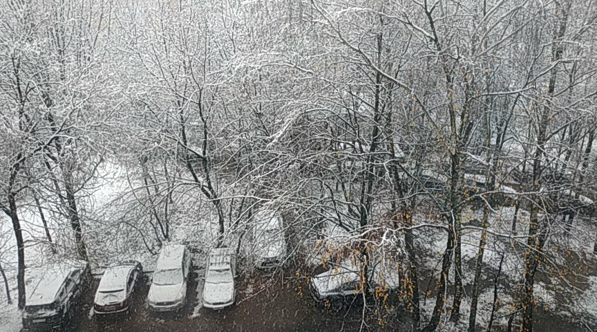 Добрутр трщи, всем бобра по два ведра!