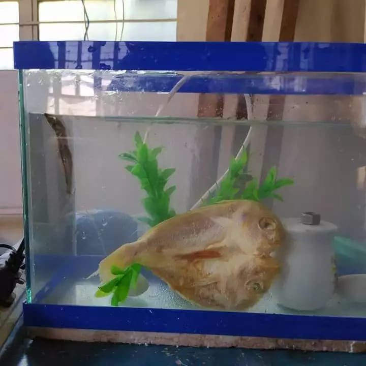 ʚɞ °｡⋆ ⸜ 🐾‼️ LiZ 🐈‍⬛ ୭ ˚. ᵎᵎ tweet media