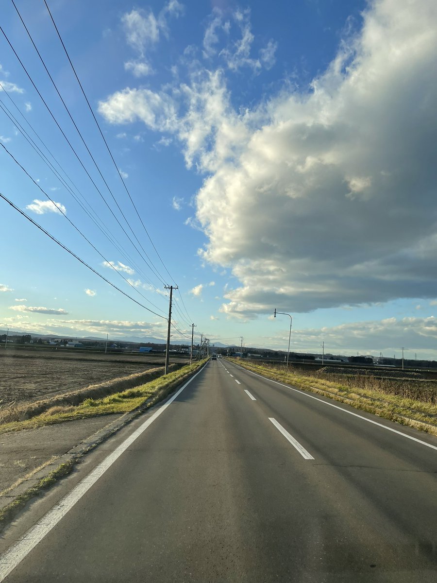 yukimasa_obi's tweet image. なんもないわ🫥のどか〜