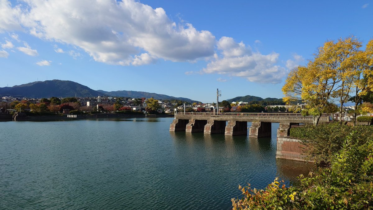 湖国の燕 tweet media