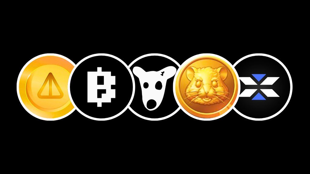 Which is the best Ton airdrop ?