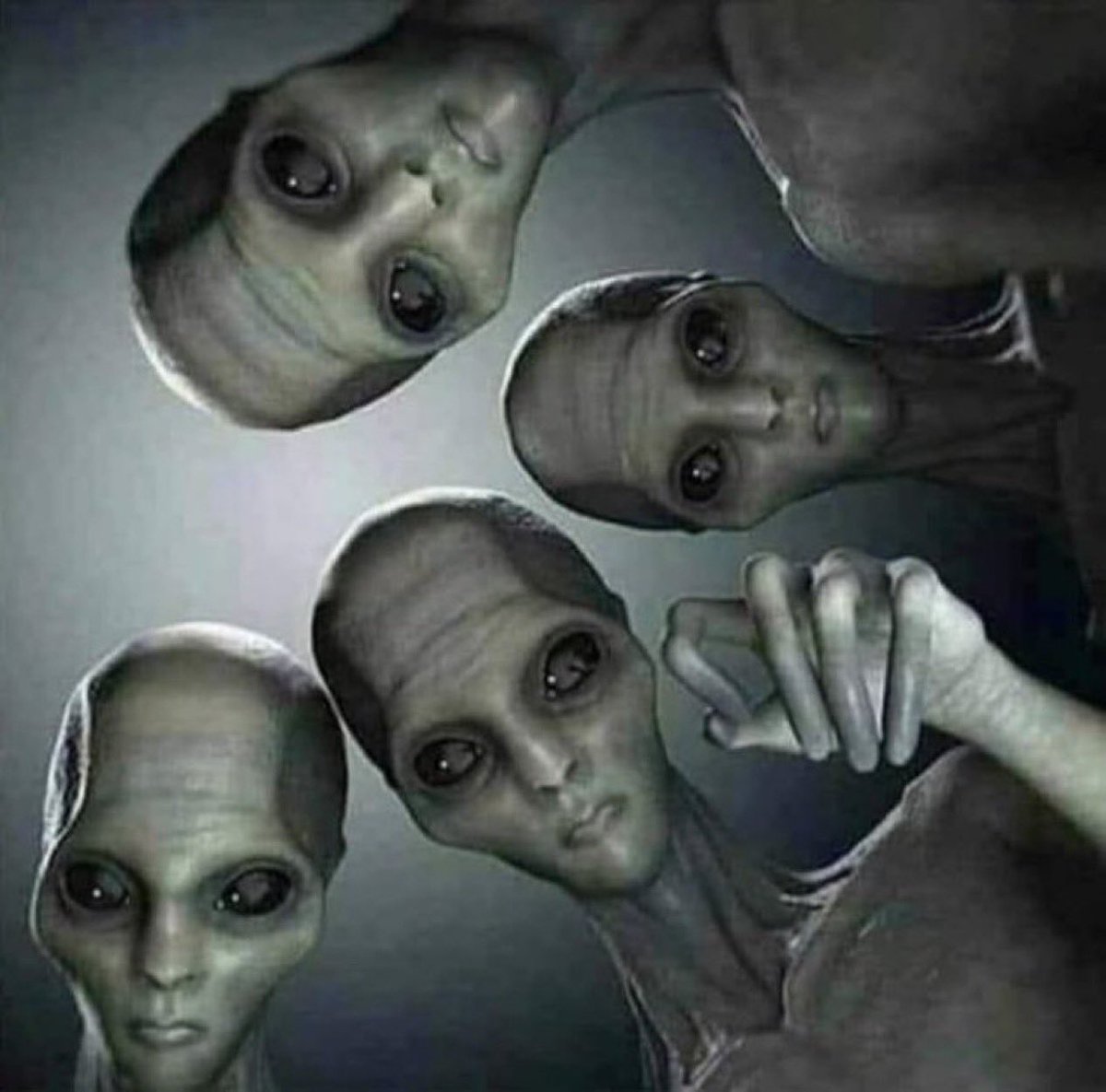 Shining Science tweet media