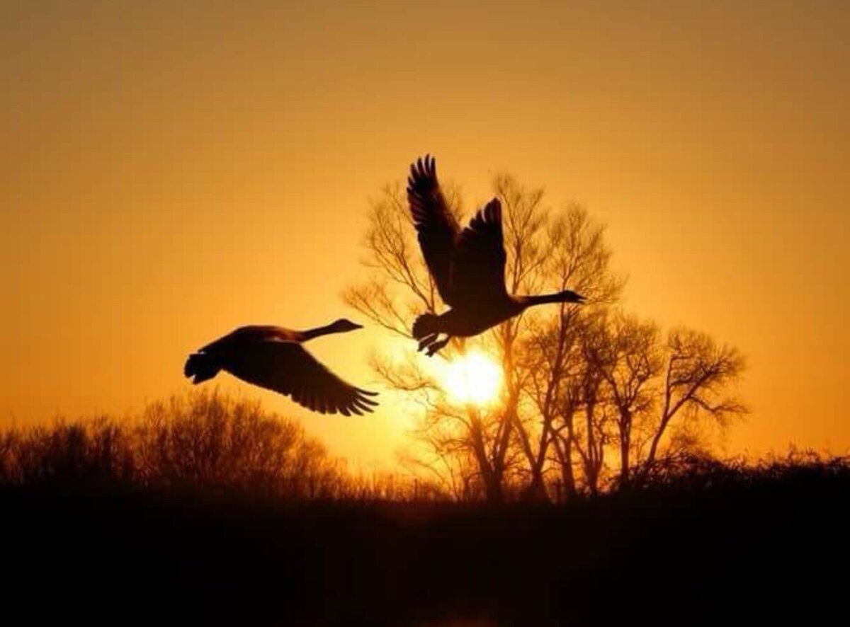 Cormac Stagg tweet media