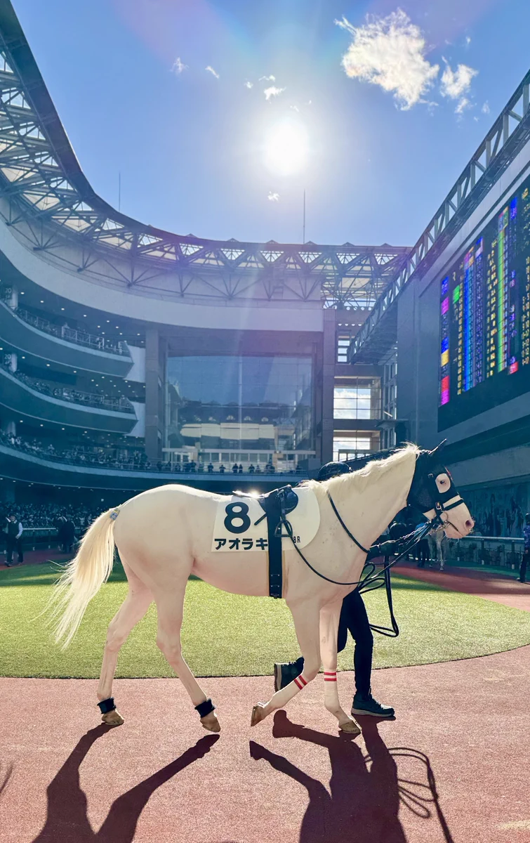 TCC 引退競走馬ファンクラブ - 馬を救い、人を癒す - on X: 