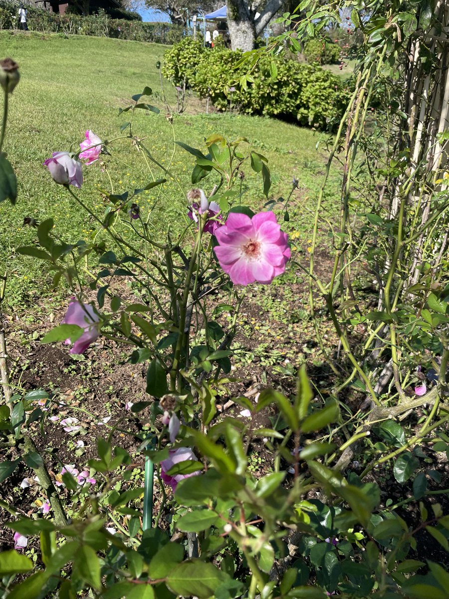 みなさま こんにちは✨ いつもお世話になっております！ 昨日は 休みを