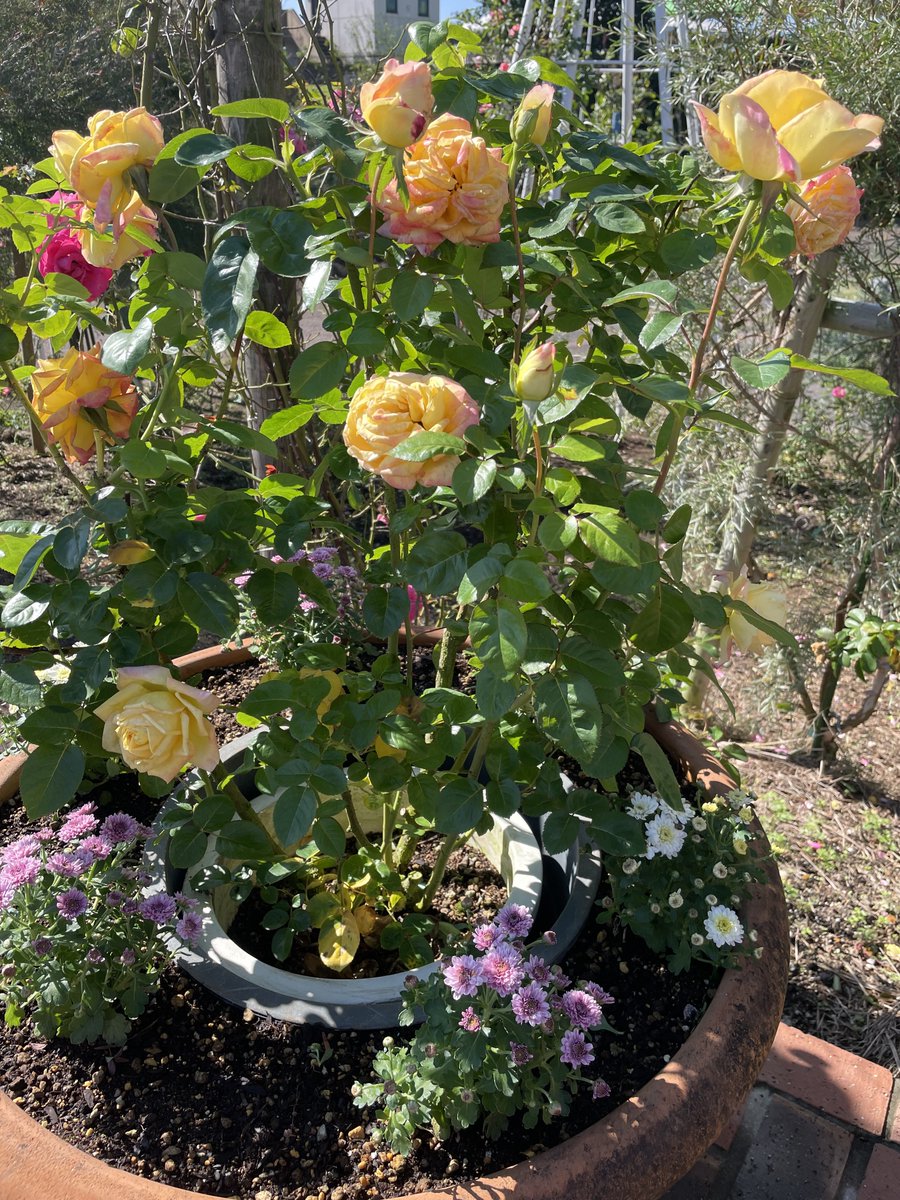 みなさま こんにちは✨ いつもお世話になっております！ 昨日は 休みを