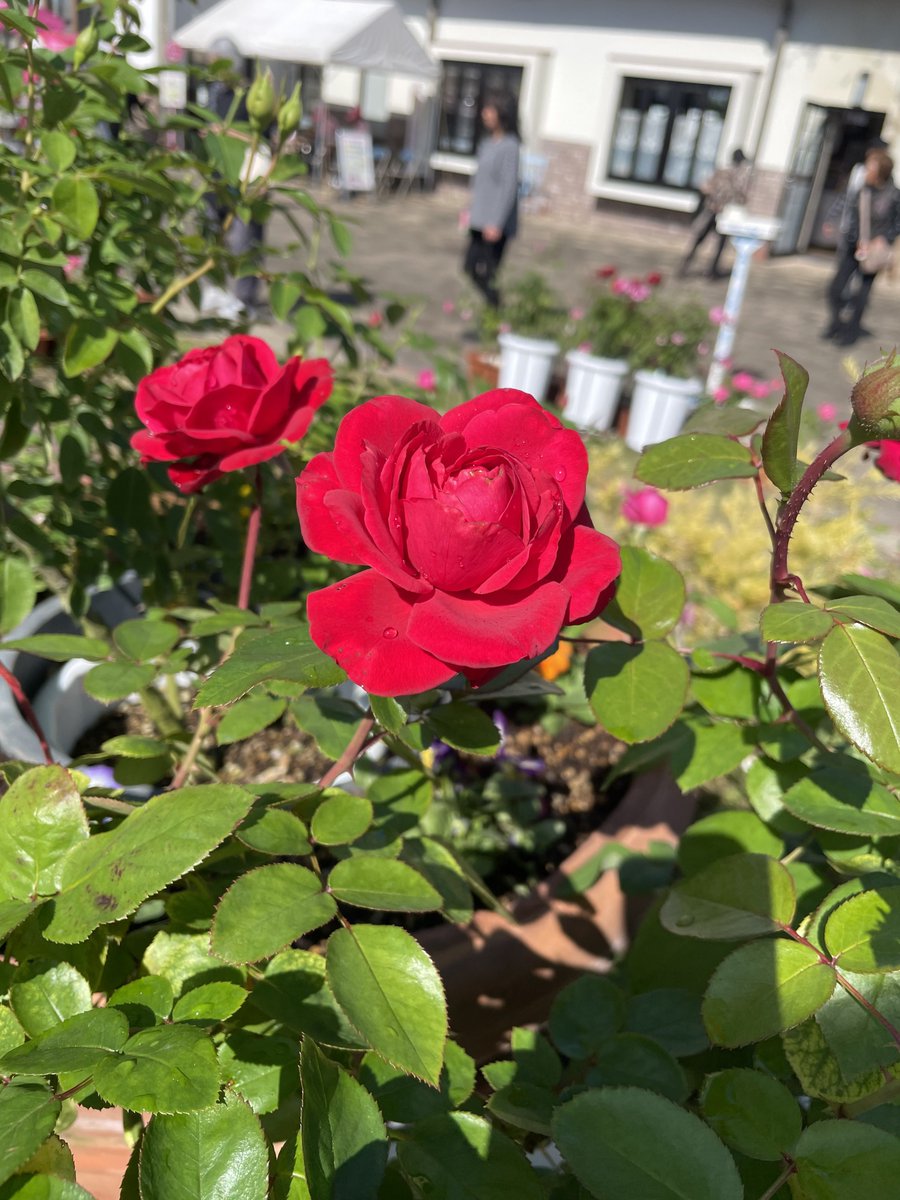 みなさま こんにちは✨ いつもお世話になっております！ 昨日は 休みを