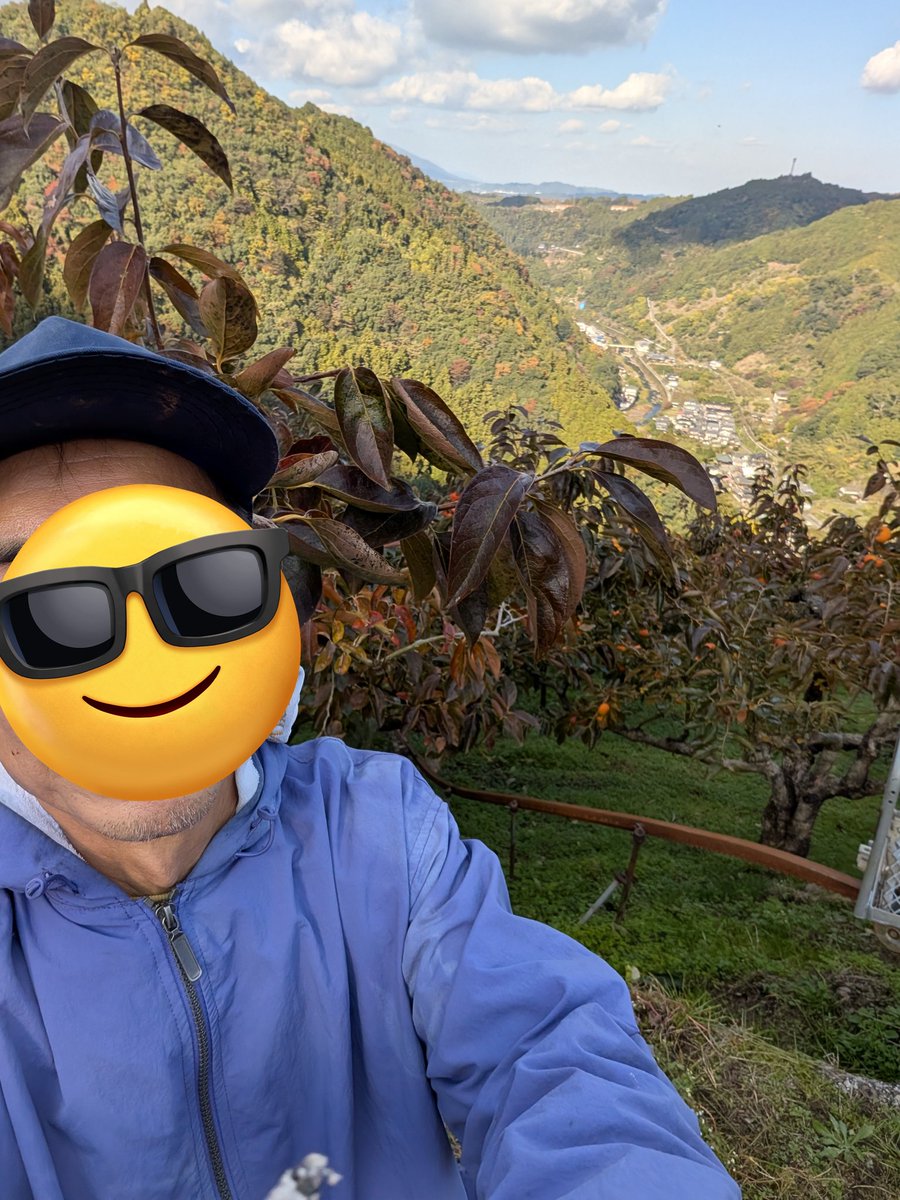 henro1963's tweet photo. 今日は西吉野村で柿の収穫
良い天気だけど山の斜面が凄い
しんどいけど景色も良くて気持ちよか https://t.co/6VFXLdq0N9