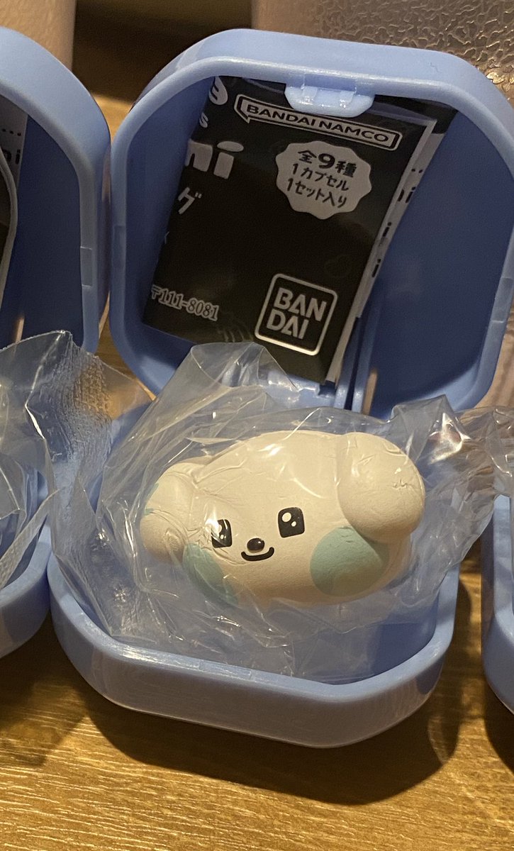 ビニビニ🐹🐹 tweet media