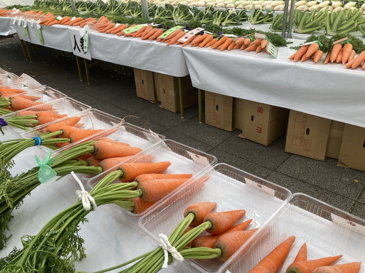 みんなの市場 蒲郡市】竹島俊成苑で楽しむ！障がい者と健常者が繋がる場所「みんなの