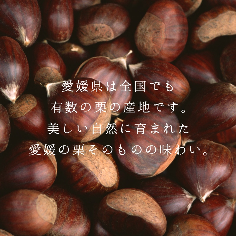 #プレゼントキャンペーン 123
栗🌰の美味しい季節だけの限定品😋そろそろ本年分、終了かも🥰
poemehonpo.co.jp/view/item/0000…
ベビー母恵夢✨愛媛の純栗🌰8個入を抽選で1名様に #プレゼント
🎯応募方法🎯
1️⃣ <a href="/poemehonpo/">【公式】母恵夢(ポエム)本舗</a> をフォロー
2️⃣この投稿をリポスト
🎉締切11/19 23:59
🔆当選者様へDM致します