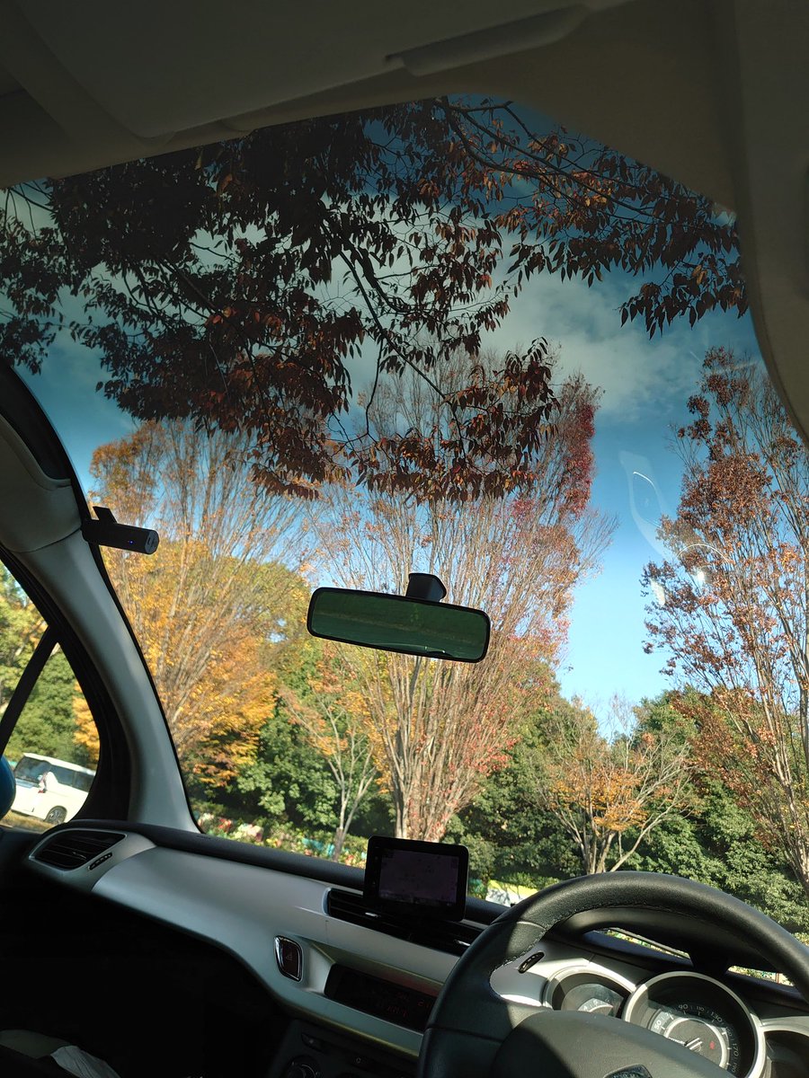 サクちゃん Post by サクちゃん𖤹 on X: この高揚感