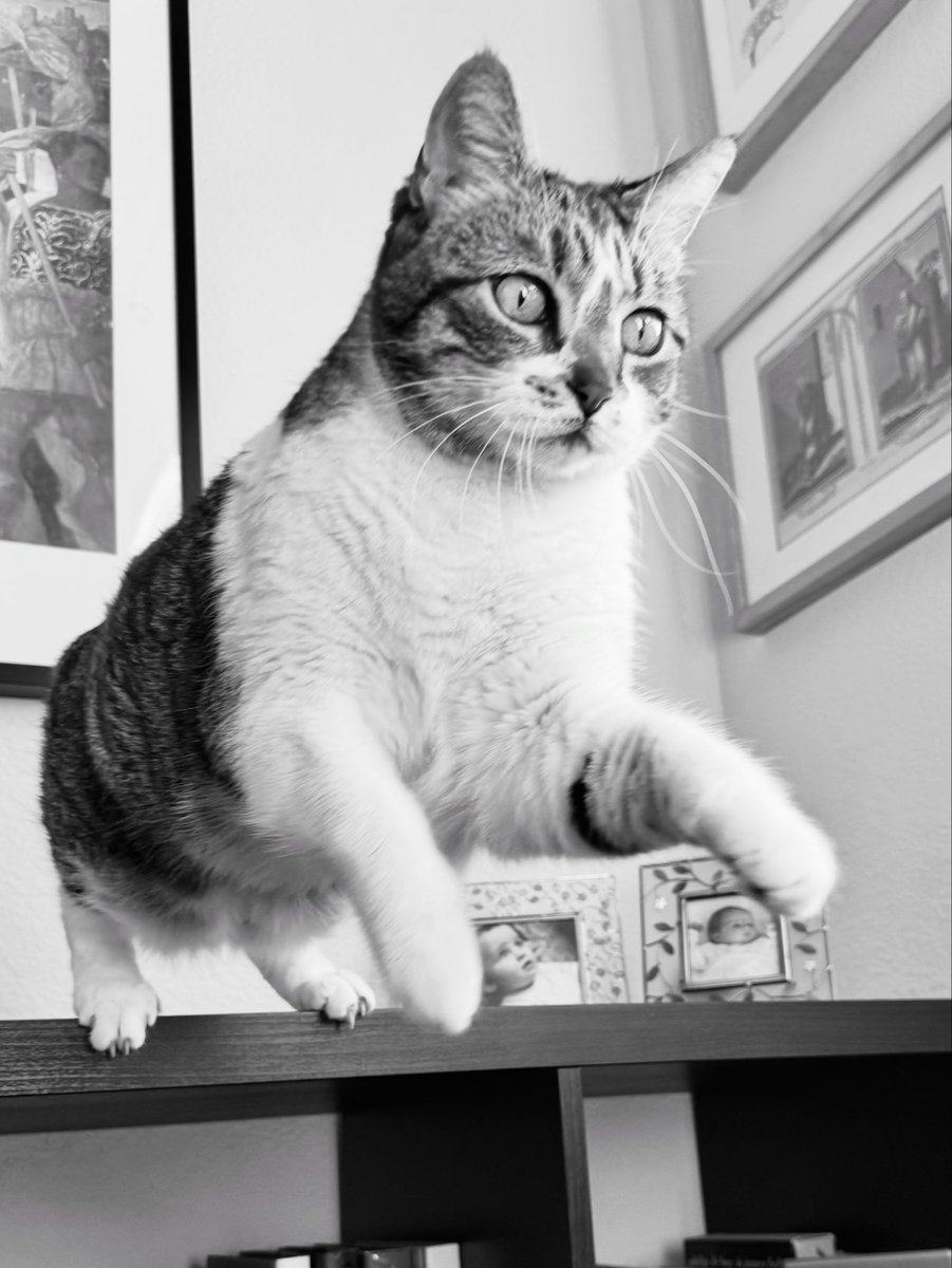 Ethel in full flight