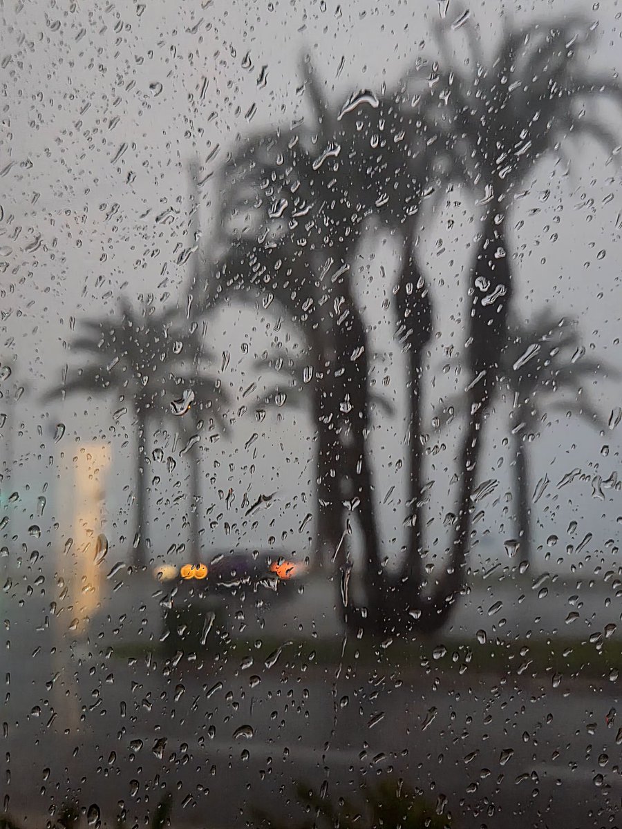 𝕐𝕒𝕟𝕟𝕚𝕔𝕜 tweet media