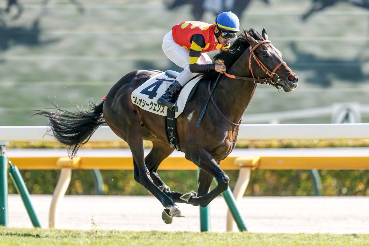 永杜 (@Nagato_umaaka1) / Posts and Replies / X