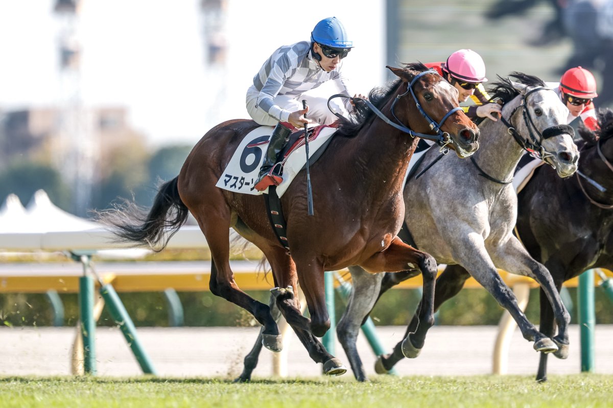 永杜 (@Nagato_umaaka1) / Posts and Replies / X