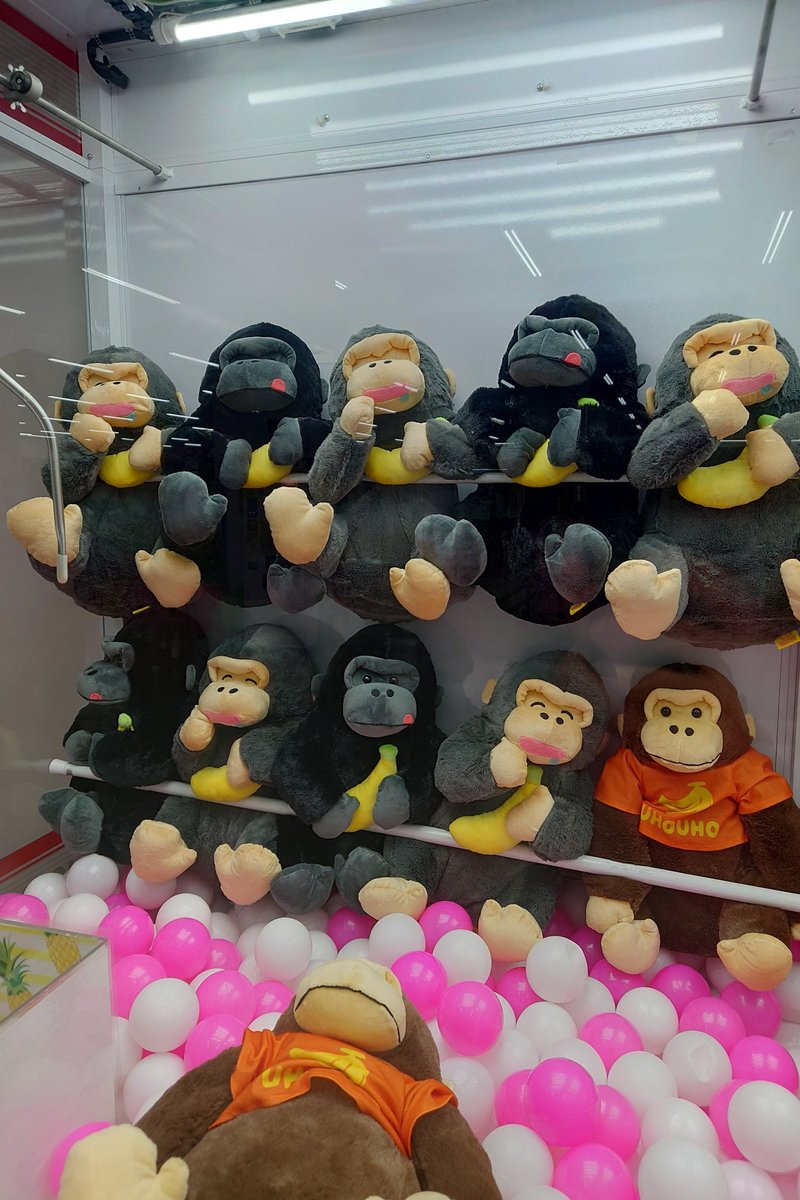 プライズにたくさんいる
ご家族だろうか