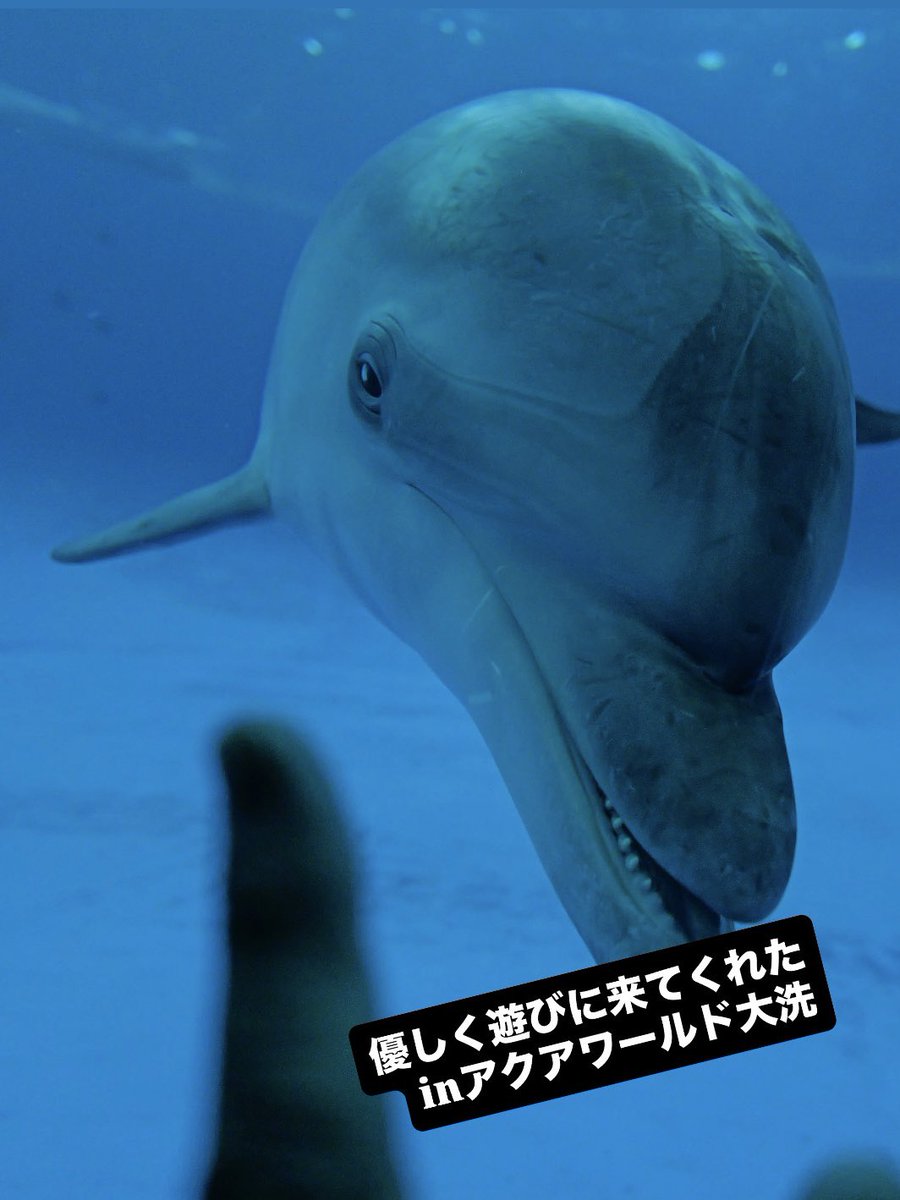 るるなっく (@ruru79) / Posts / X