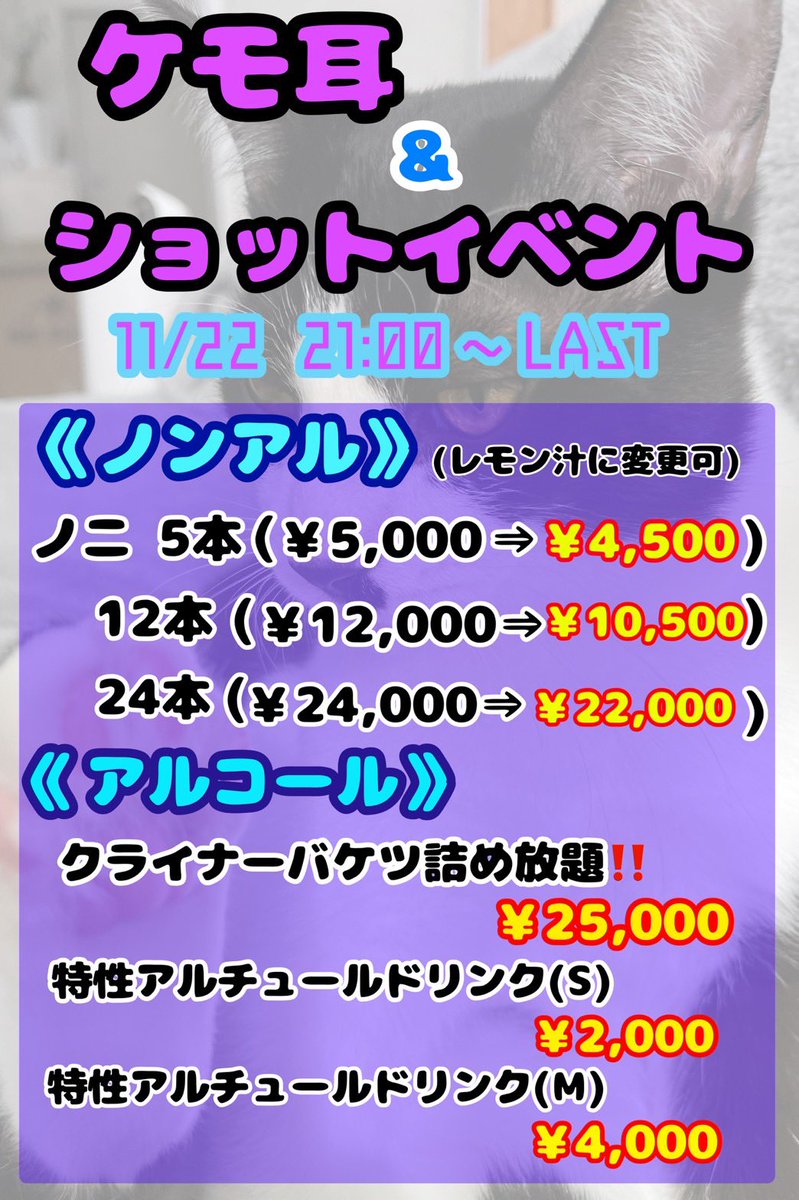 dennosokai's tweet image. 《《 電脳租界・本日の配属 》》

▼--- しお: @co71_sokai 
▼--- はる: @haru_sokai 
▼--- きゅー: @kyu_sokai 

 #電脳租界高知  #高知コンカフェ
 #コンセプトカフェ  #コンカフェ