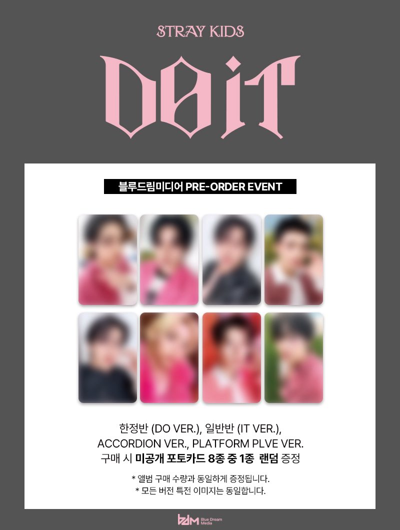 Stray Kids 'DO IT'💗🩶 スキズのアルバム 店舗特典ビジュ続き ⑤