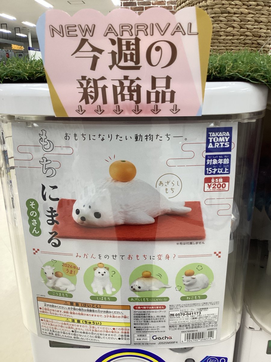 ガシャココSuperKaBoS二の宮入荷情報❗️ #もちにまる🍊 そのさん