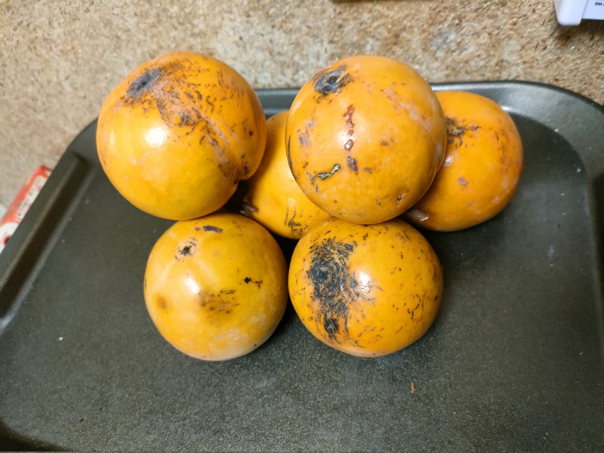 サクちゃん (@sakuchan13579) / Posts / X