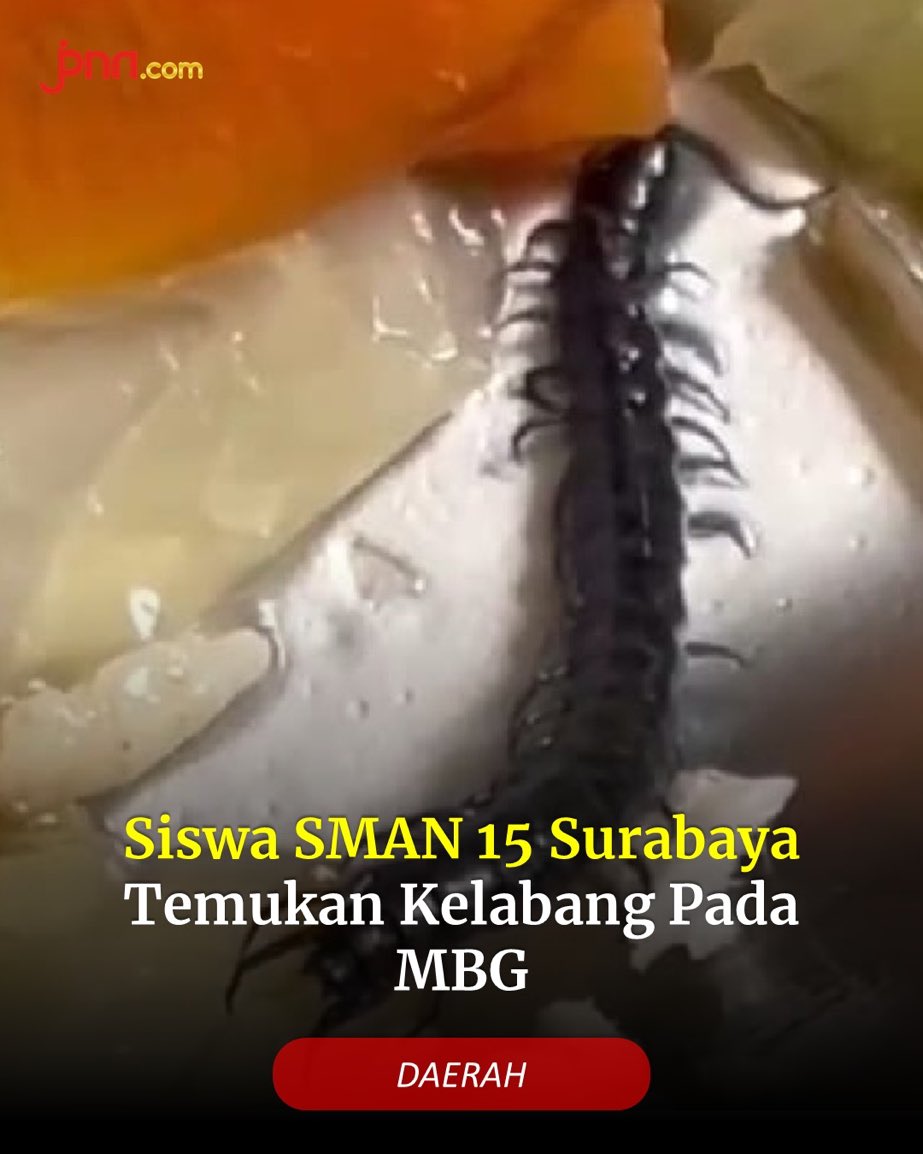 Kelen lom tau aja cemana luar biasanya kandungan nutrisi kelabang 🤣🤌
#LanjutkanMBG