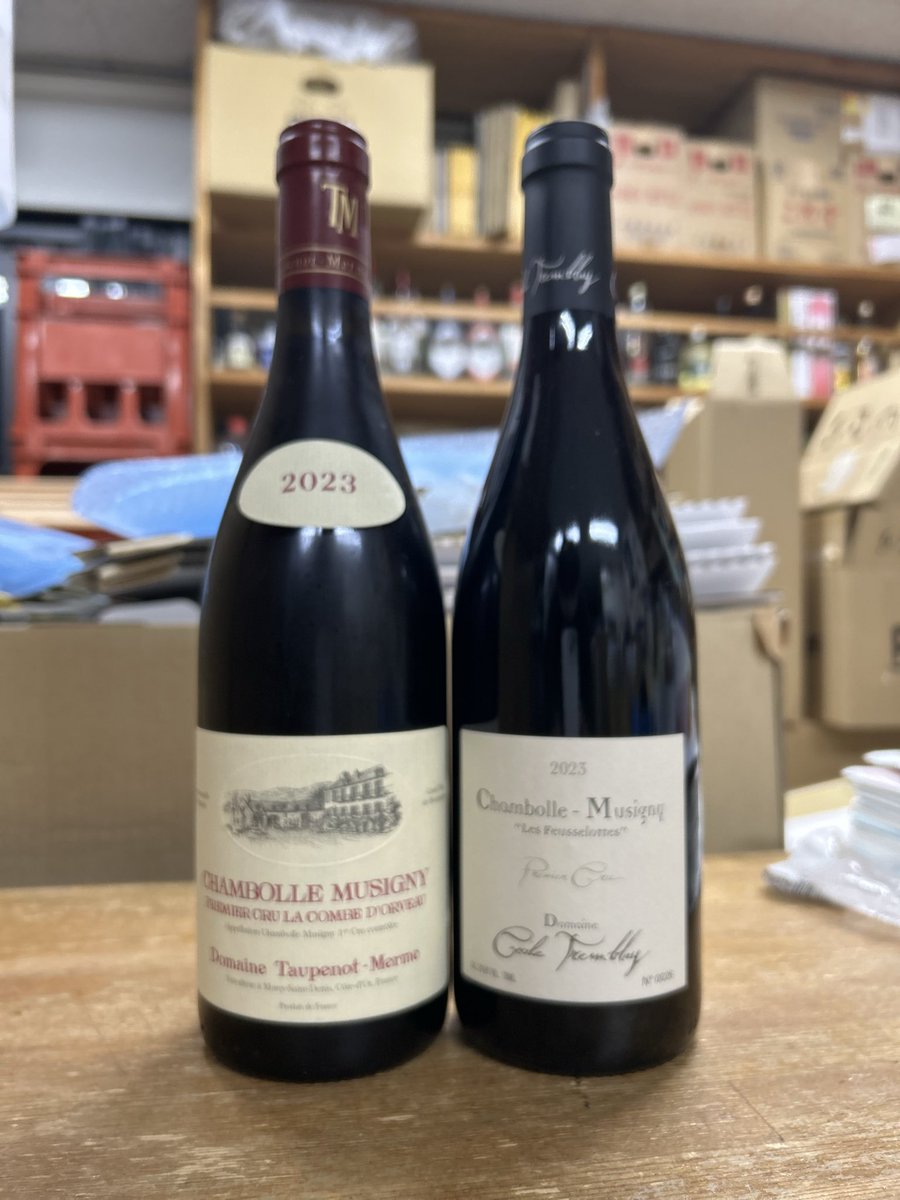 シャンボール・ミュジニー 一級レ・フスロット 2019 / セシル・トランブレイ シャンボール・ミュジニー 一級レ・フスロット 2019 / セシル