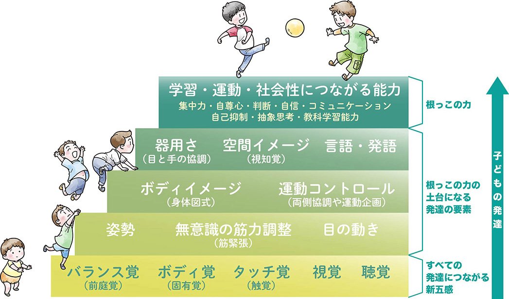 sukeryoiku's tweet photo. これまで通算５００人以上の子どもたちを見てきて、
感覚統合の階段をすっ飛ばして上手くいってる例はあまり見ない。

土台部分が大事で、保護者からすると遊んでいるだけに見える活動が困りを解決する可能性があるということをちゃんと解説できる支援者が少ない。

引用：https://t.co/kQ7L62hlEC https://t.co/8CZBHcuN1U