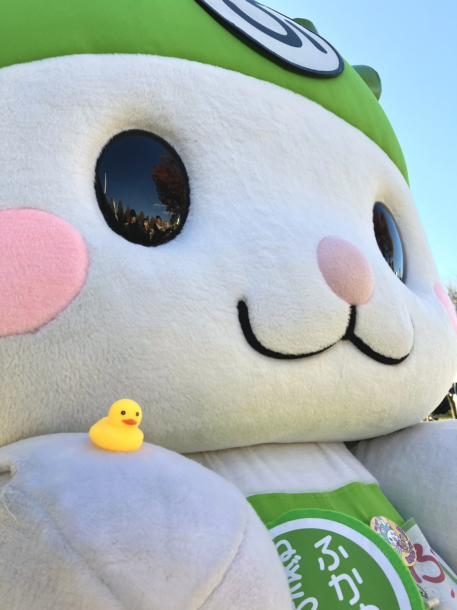 fukkachan's tweet image. 青空と紅葉に囲まれてイベントは大盛況🍁

と〜っても楽しかったよぉ！
改めてはにぽんおめでとぉ♪Y(o0ω0o)Y
これからもお隣でまちを盛り上げていこうねぇ♪
#はにぽんフェスティバル2025